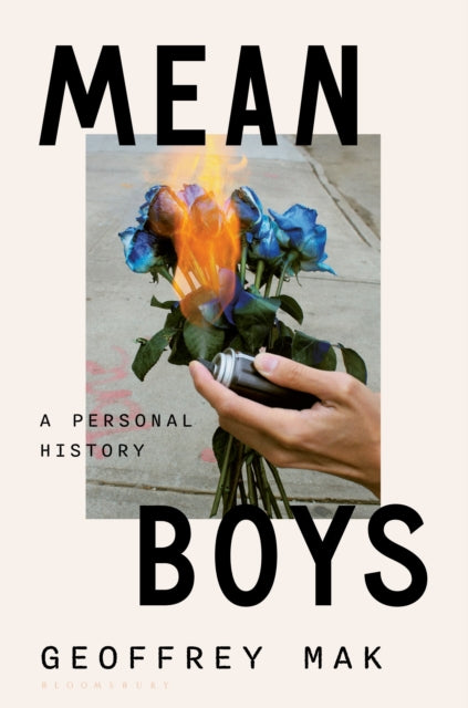 Book cover of: Mean Boys. By: Geoffrey Mak