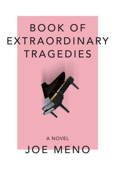 Book cover of: Book of Extraordinary Tragedies. By: Joe Meno