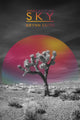 Book cover of: Under a Future Sky. By: Brynn Saito