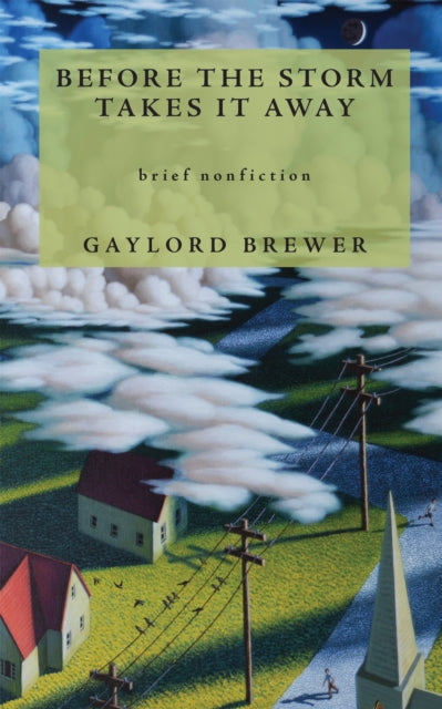 Book cover of: Before the Storm Takes It Away. By: Gaylord Brewer
