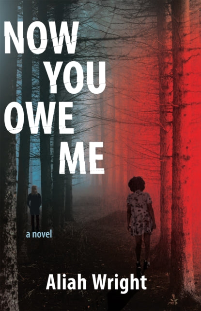Book cover of: Now You Owe Me. By: Aliah Wright
