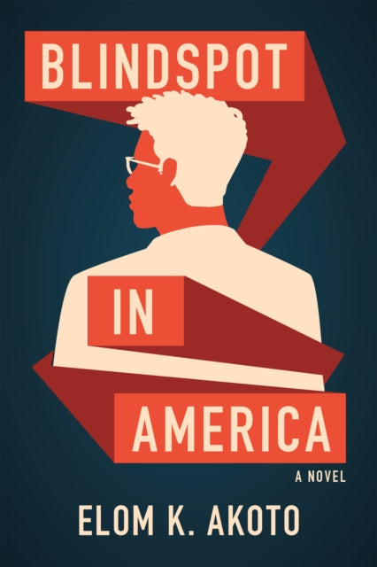 Book cover of: Blindspot in America. By: Elom K. Akoto