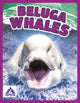 Book cover of: Beluga Whales. By: Angela Lim