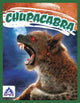 Book cover of: Chupacabra. By: Christine Ha