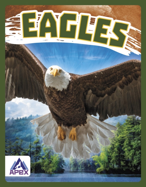 Book cover of: Eagles. By: Golriz Golkar