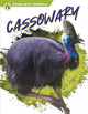 Book cover of: Cassowary. By: Connor Stratton