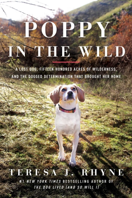 Book cover of: Poppy in the Wild. By: Teresa J. Rhyne