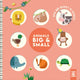 Book cover of: Animals Big & Small. By: I. am a bookworm