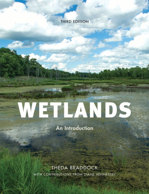 Book cover of: Wetlands. By: Theda Braddock