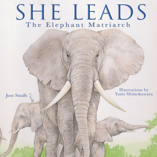 Book cover of: She Leads. By: June Smalls