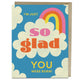Book cover of: 6-Pack Em & Friends So Glad Bday Greeting Cards