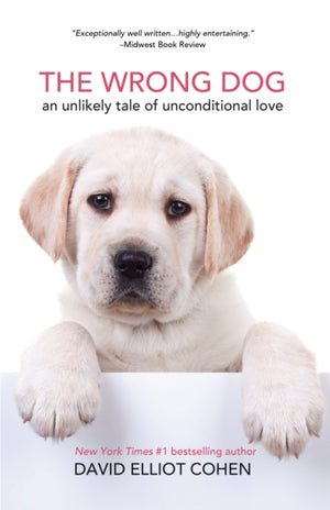 The Wrong Dog
