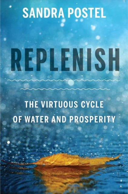 Book cover of: Replenish. By: Sandra Postel