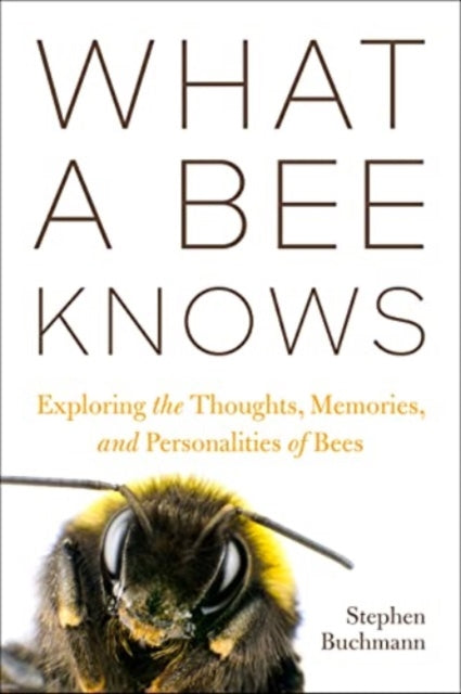 Book cover of: What a Bee Knows. By: Stephen L. Buchmann