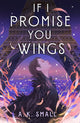 Book cover of: If I Promise You Wings. By: A. K. Small