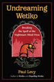 Book cover of: Undreaming Wetiko. By: Paul Levy