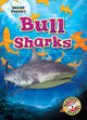 Book cover of: Bull Sharks. By: Rebecca Pettiford