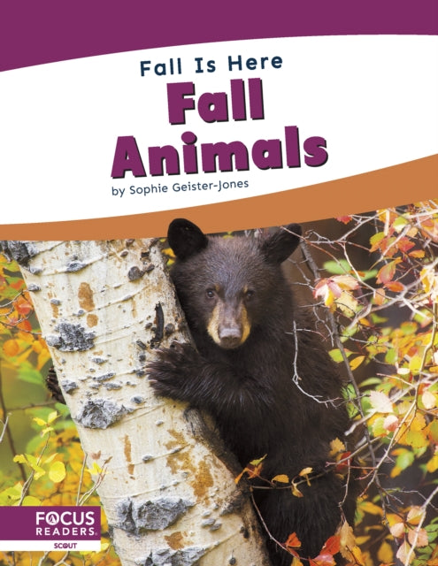 Book cover of: Fall Animals. By: Sophie Geister-Jones