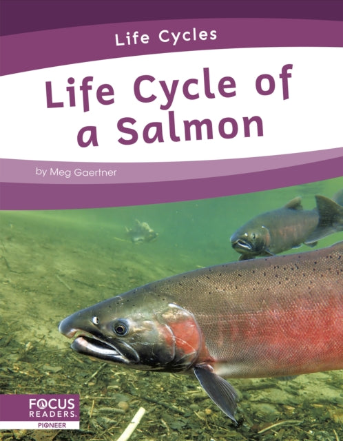 Book cover of: Life Cycle of a Salmon. By: Meg Gaertner