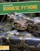Book cover of: Burmese Pythons. By: Emma Huddleston
