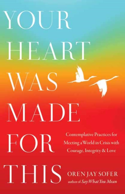 Book cover of: Your Heart Was Made for This. By: Oren Jay Sofer