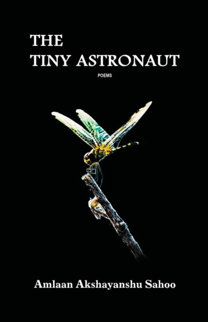 Book cover of: Tiny Astronaut. By: Amlaan Akshayanshu Sahoo