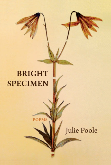 Book cover of: Bright Specimen. By: Julie Poole