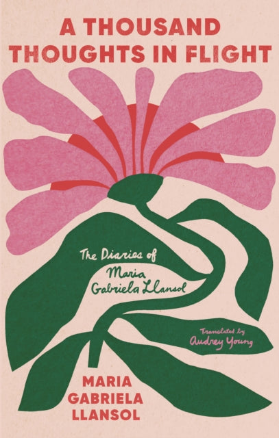 Book cover of: Diaries. By: Maria Gabriela Llansol