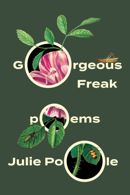 Book cover of: Gorgeous Freak. By: Julie Poole