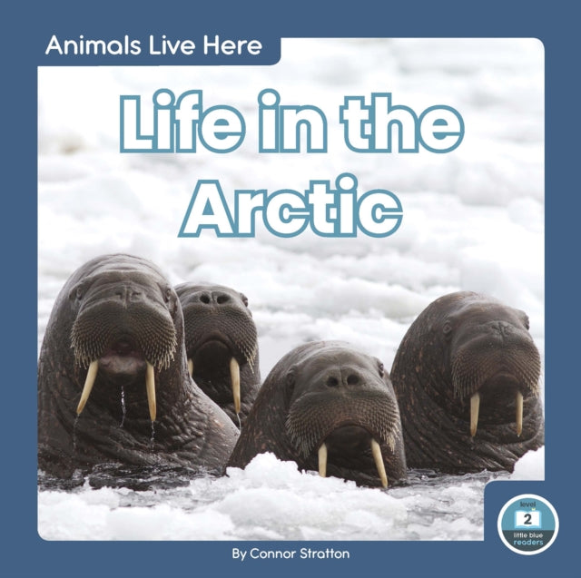 Book cover of: Life in the Arctic. By: Connor Stratton
