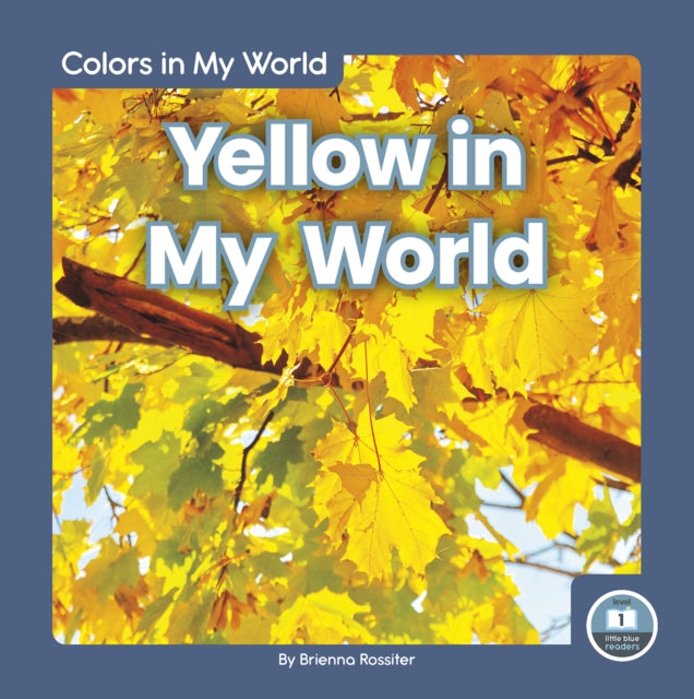 Book cover of: Yellow in My World. By: Brienna Rossiter