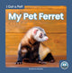 Book cover of: My Pet Ferret. By: Brienna Rossiter