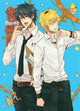 Book cover of: Hitorijime My Hero 11. By: Memeco Arii