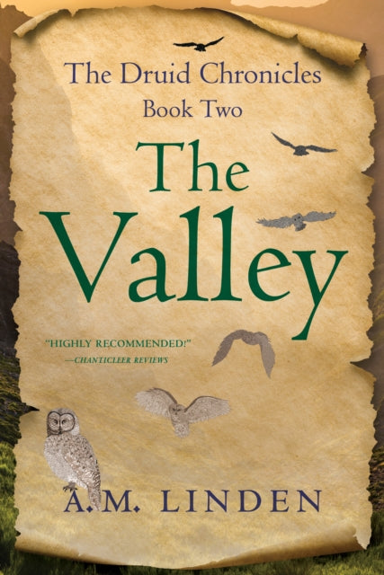 Book cover of: Valley. By: A. M. Linden