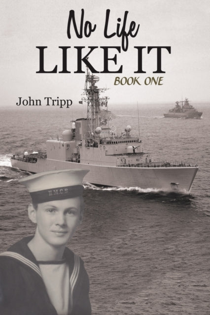 Book cover of: No Life Like It. By: John Tripp