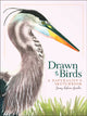 Book cover of: Drawn to Birds. By: Jenny deFouw Geuder