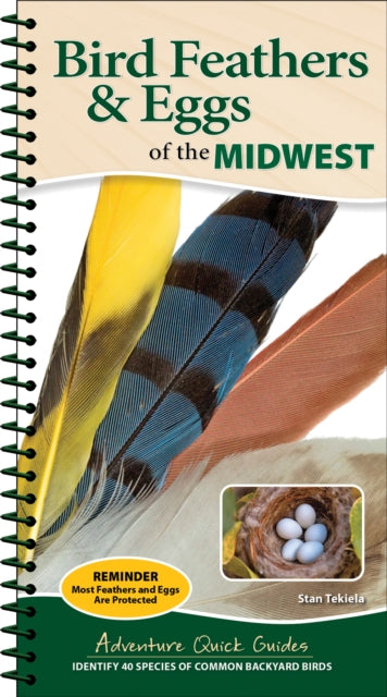Book cover of: Bird Feathers & Eggs of the Midwest