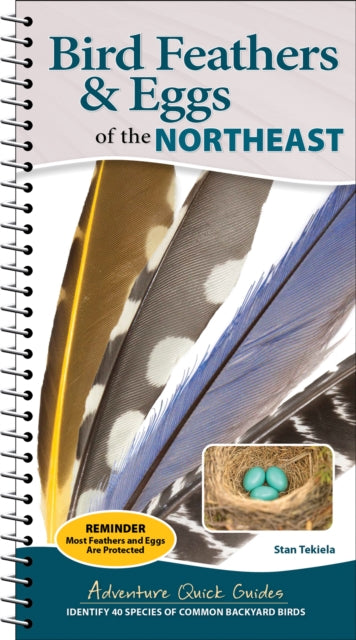 Book cover of: Bird Feathers & Eggs of the Northeast