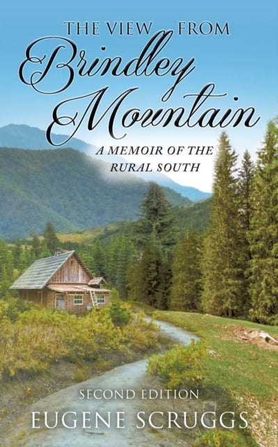 Book cover of: View from Brindley Mountain