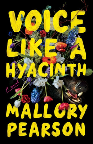 Voice Like a Hyacinth, A Novel