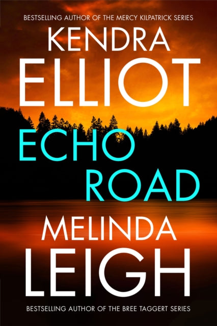 Book cover of: Echo Road. By: Kendra Elliot