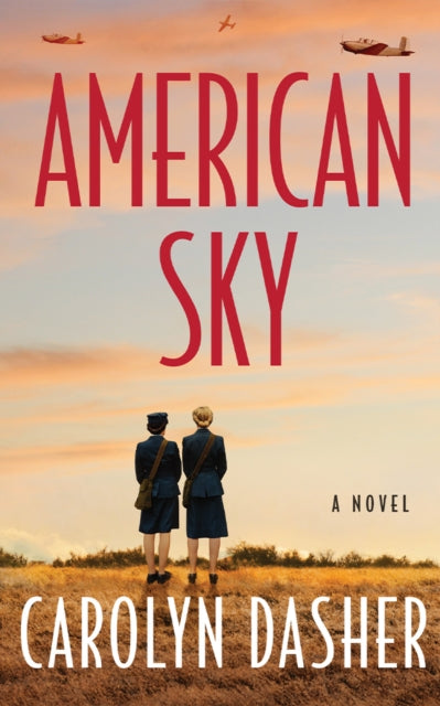 Book cover of: American Sky
