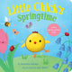 Book cover of: Little Chick's Springtime. By: Danielle McLean