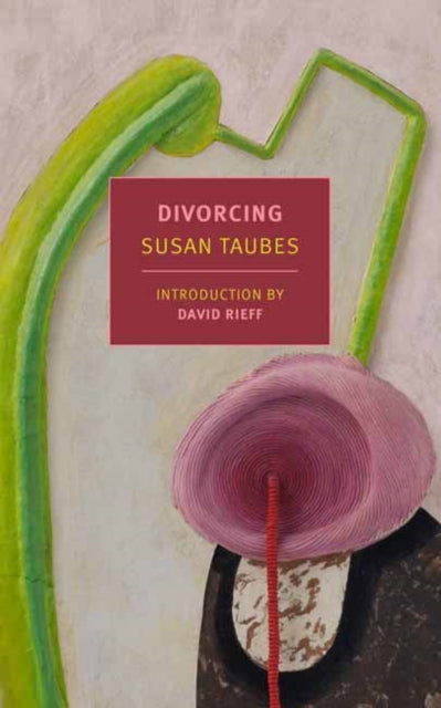 Book cover of: Divorcing. By: Susan Taubes