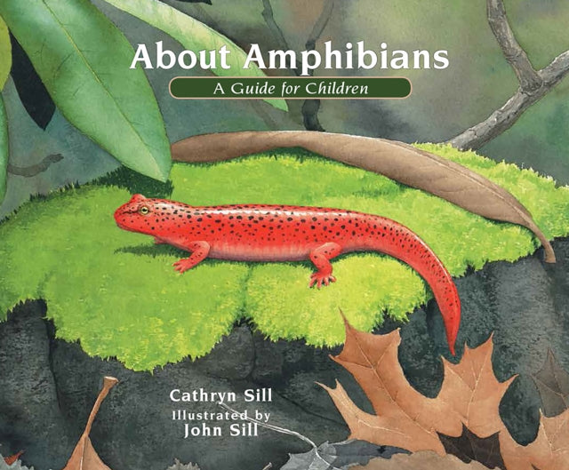 Book cover of: About Amphibians. By: Cathryn P. Sill