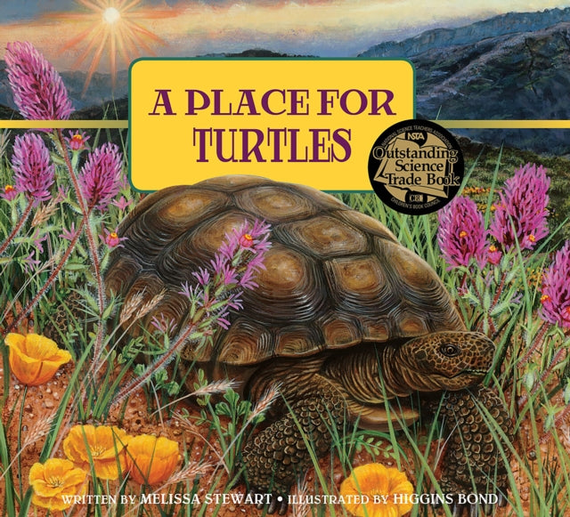 Book cover of: Place for Turtles. By: Melissa Stewart