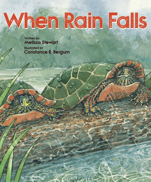 Book cover of: When Rain Falls. By: Melissa Stewart