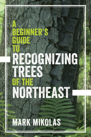 A Beginner's Guide to Recognizing Trees of the Northeast