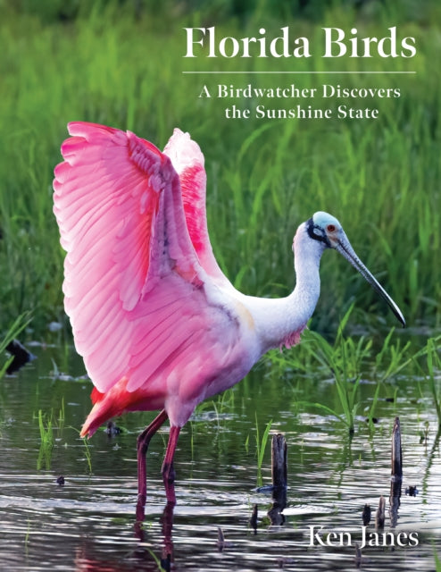 Book cover of: Florida Birds. By: Ken Janes