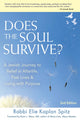 Book cover of: Does the Soul Survive? (2nd Edition). By: Elie Kaplan Spitz